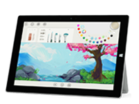 红桥Surface 无法开启、Windows 无法启动或电池无法充电