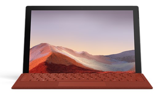 红桥清洁和维护 Surface